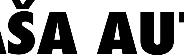 Sasa auto vulkanizer Beograd