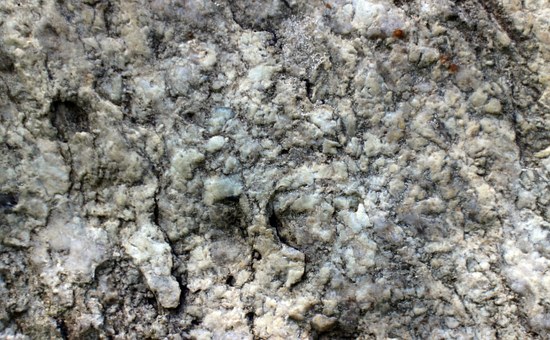 radisavljevic granit kamenorezac beograd